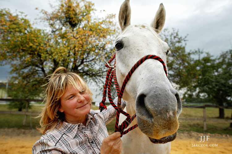 Koń pół arab.