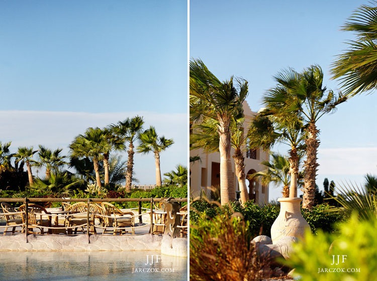 Sea Club Resort gardens in Sharm.